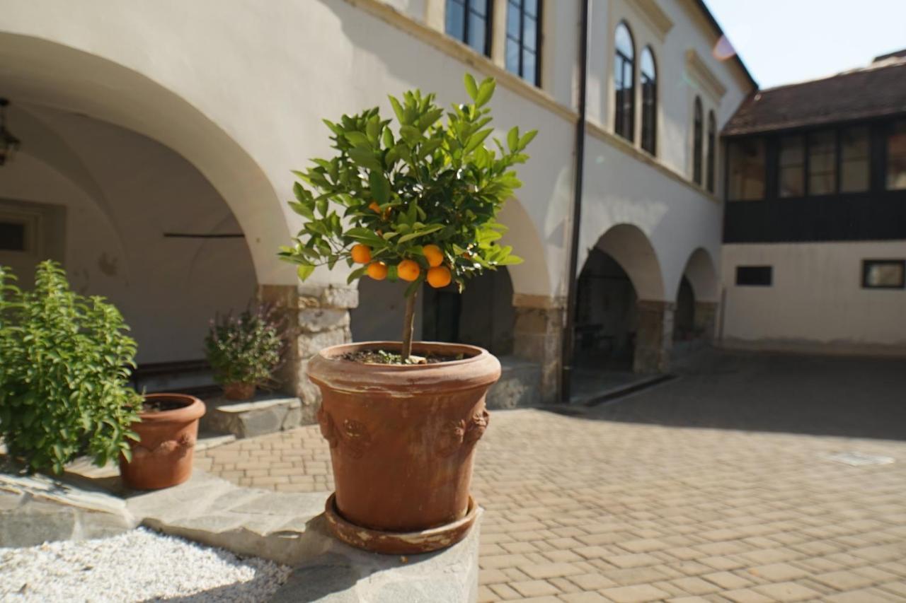 Sobe Prostija Apartment Ptuj Bagian luar foto
